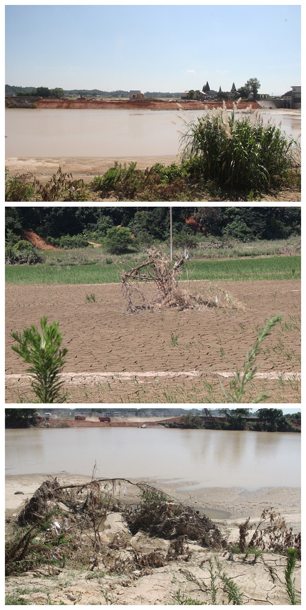 ����� | �ٷ���վ